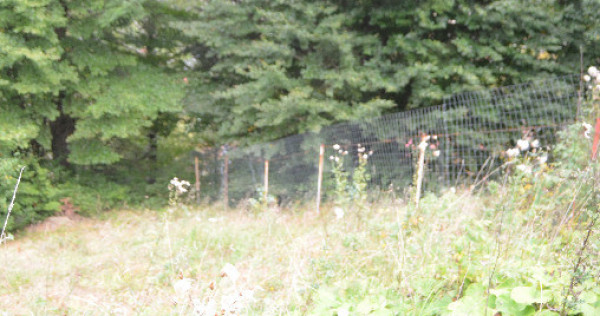 Busteni-Teren cu panorama superba de vanzare