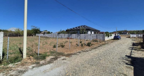 Teren intravilan – Dudovicesti, lângă Craiova 1100mp