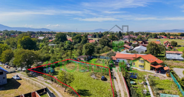 Teren intravilan generos de 1.430 mp în Cărpiniș, investi