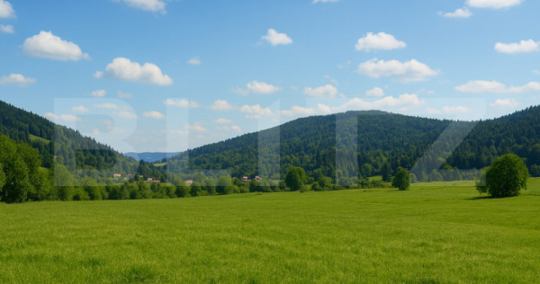 Teren intravilan de vanzare, 5872 mp, pe strada Chilia-Vatra