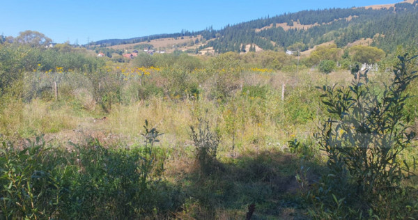 Teren intravilan de vanzare, 5872 mp, pe strada Chilia-Vatra
