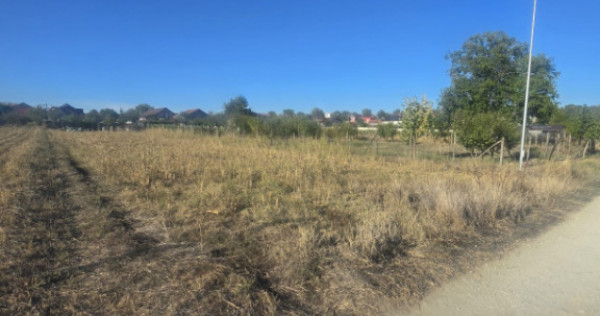 Teren 1000mp ,la intrarea in Filiasi