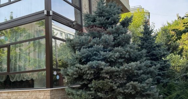 DE INCHIRIAT Spațiu de birouri in zona Baneasa