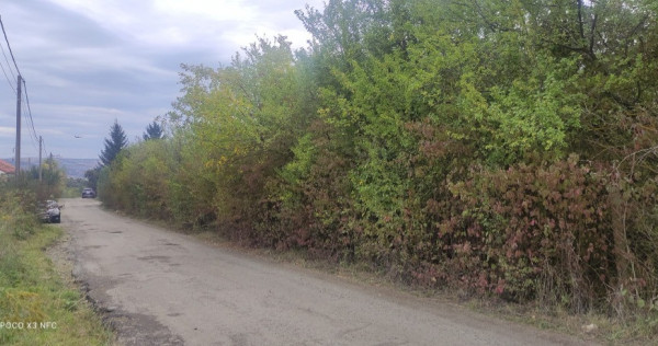 Teren intravilan 15046mp pe str. Nicolae Corches, Becas, Cluj-Napoca