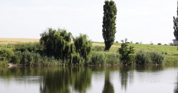 Teren intravilan cu vedere la lac – Balotești / Corbeanca, 17850 mp