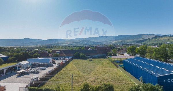 Teren Industrial, 3300 mp, / DJ 112D, Carpinis