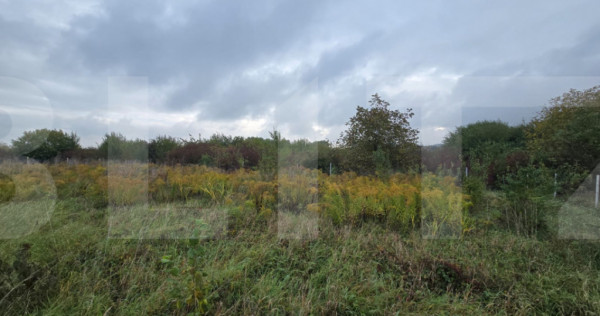 Teren de vanzare, 700 mp, strada Mihai Romanul