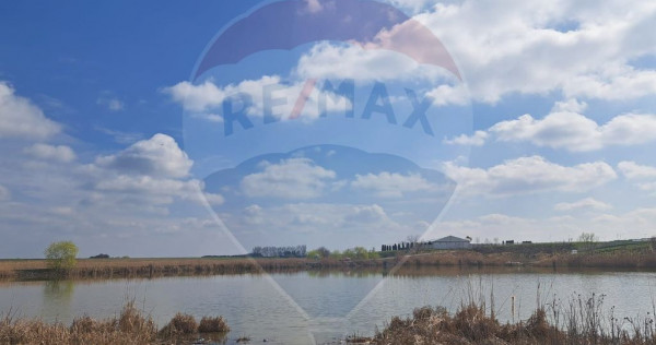 Teren Frumusani DN4 2000 mp + 5000 mp deschidere Lac Pasarea