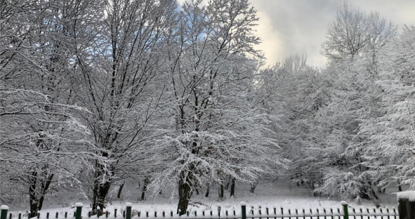 Casa tip duplex in complexul rezidential Green Park Villas