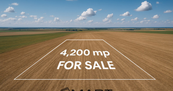 Teren extravilan 4200mp Daia Romana - Alba