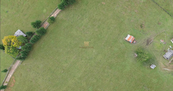 Teren 2804 mp, la munte! In Bucovina – Fundu Moldovei!