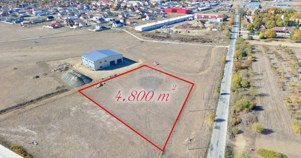 Teren 4,800mp com. Vladimirescu jud. Arad