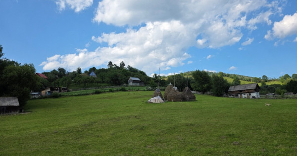 Teren intravilan parcelabil 6312 mp - minim 1000 mp - Rucar, Argeș