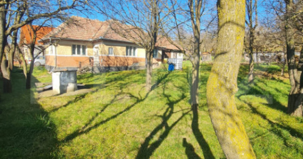 Teren intravilan, 2589 mp, Certificat de urbanism, Rediu, co