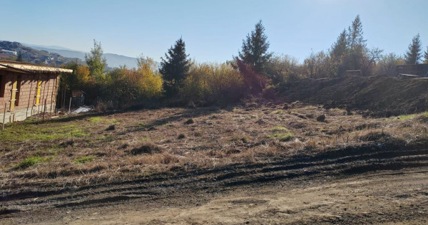 Teren intravilan - Aleea Fagetului - 680 mp + 87 mp drum ...