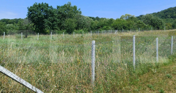 Teren extravilan de 1000 mp, situat pe strada Ghinzii