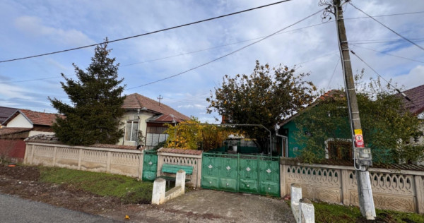 Casa Bistrita Noua, Olt