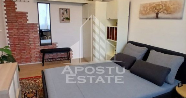 Garsoniera Pet friendly, zona Buziasului