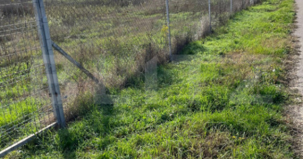 Teren 19.240 mp Geangoesti, Dambovita