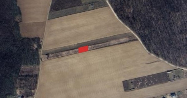 Teren extravilan Valea Ursului Iasi 524mp