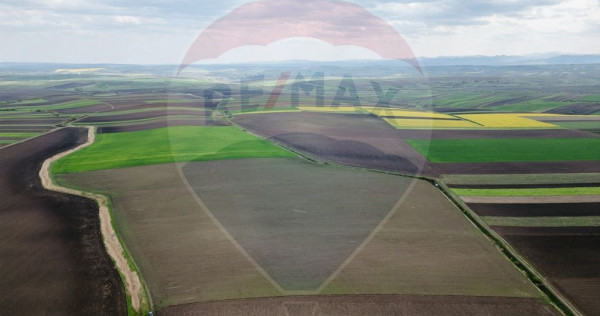 Teren 86,000mp Suceava / DN 17