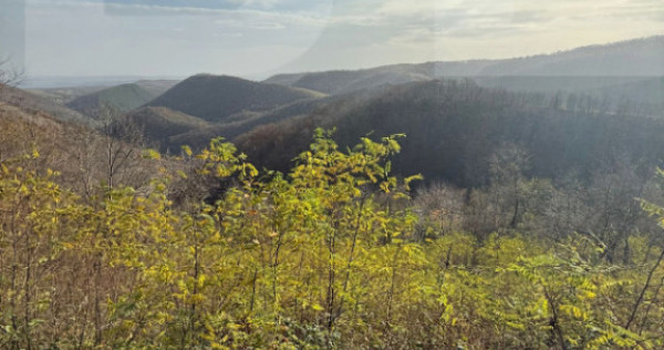 Teren extravilan impadurit, 20424 mp ideal pentru investitie