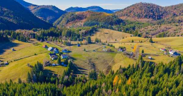 COMISION 0% Teren 13,800mp Fundatica / Intravilan