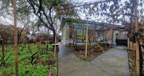 CASA 4 CAMERE , SUPRAFATA TOTALA 80 MP , TEREREN 355 MP, DES