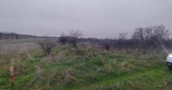 Teren extravilan Carcea - 2500 mp