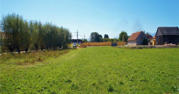 1.700mp intravilan,acces usor,intre case,ideal 2 locuinte in