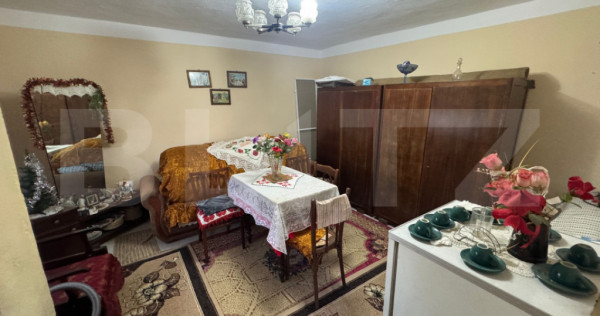 Casa, Comuna Apa ,Sat Someseni, 50mp, 17 ari teren