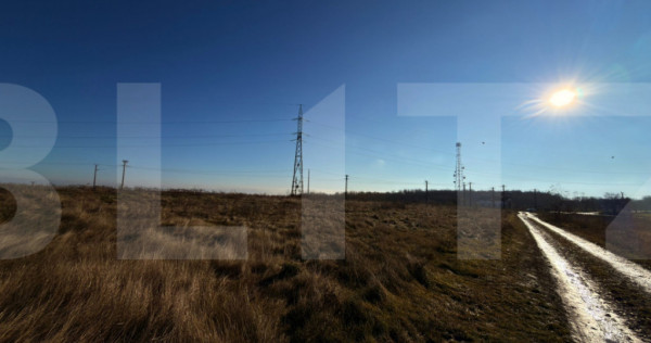 Teren extravilan, 7.000 mp, cu deschidere la drumul principa