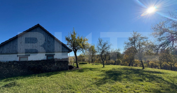 Teren extravilan 2000mp in Târsa