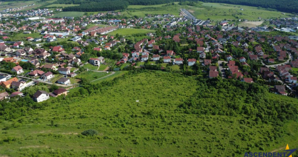 FILM!Oportunitate: 8.500mp, recomandat investitional dezvolt