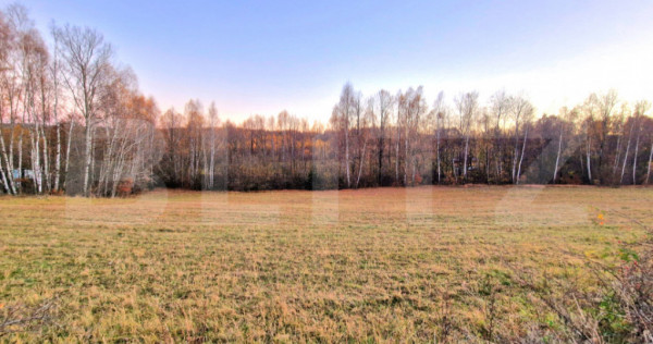 Teren intravilan. 600mp, utilitati in zona, Luna de Sus