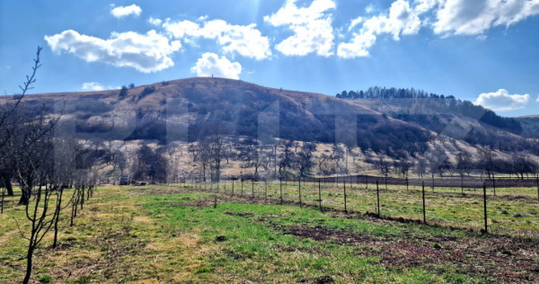 Teren intravilan, 600mp, front 7m, utilitati in zona, Luna