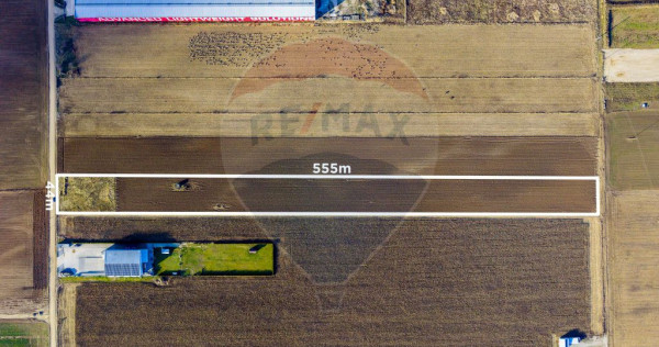 COMISION 0% Teren 25,000mp Ghimbav / Strada Sanzienei