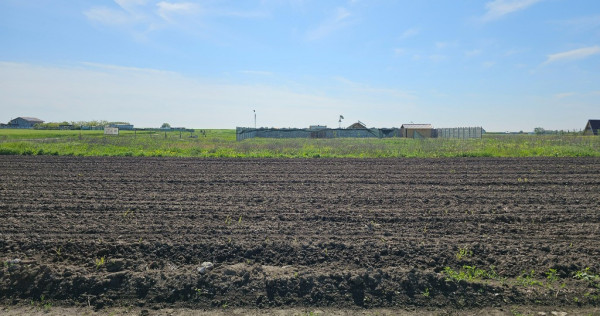 Teren intravilan 317 mp Comuna Berceni