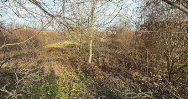 ???? Blitz oferă spre închiriere – Teren 6.500 mp, Calea