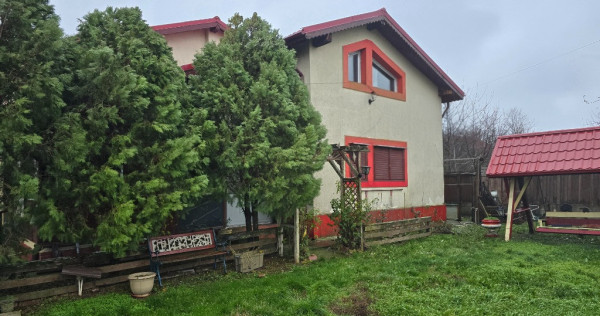 Casa de vanzare Islaz, Branesti