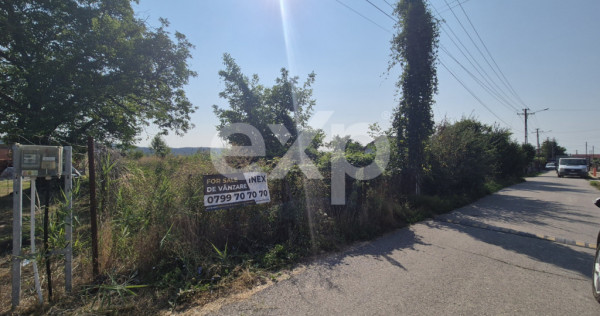 Teren intravilan Bascov - Lunca | 3151 mp