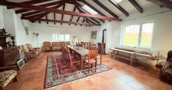 Casă 534 mp, teren 16.351 mp, zona Viile Satu Mare