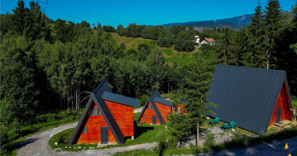 Ansamblu case A Frame cu vedere la Piatra Craiului Moieciu,