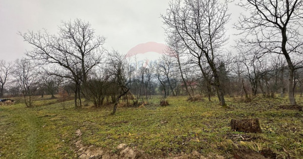 DE VANZARE - Teren strada Miron Costin