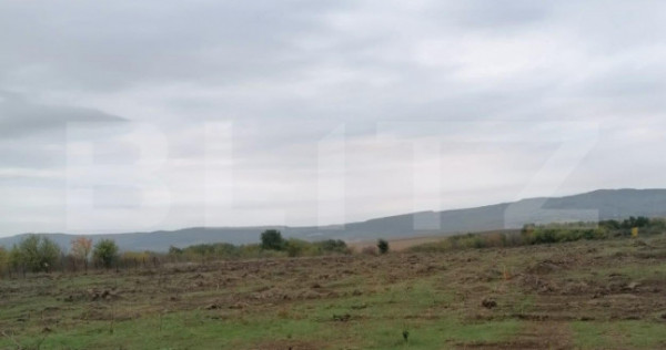 Teren 4500 mp intravilan, TOMESTI-GORUNI