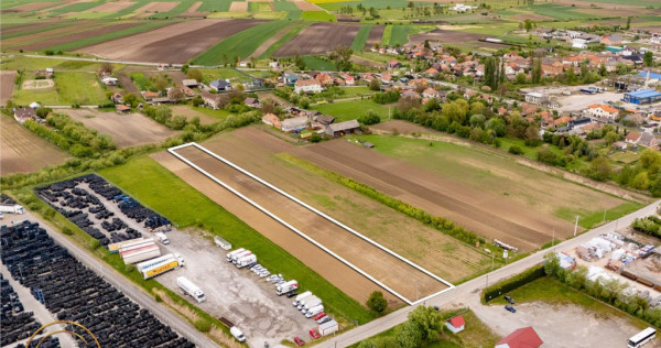 FILM! 5.000 mp teren, la marginea orasului Targu Secuiesc, a