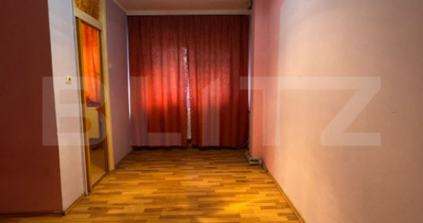 Garsoniera 25 mp, Petre Ispirescu Barca