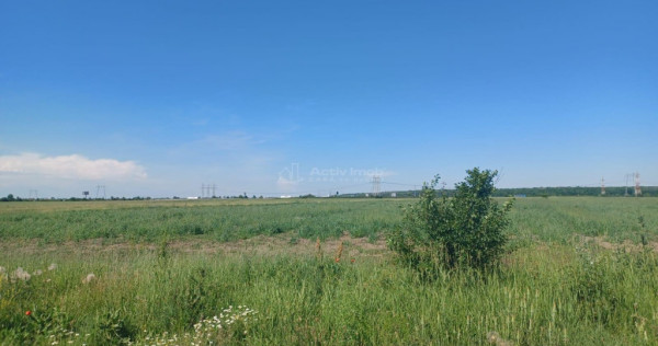 Teren strada Viitorului- Ciorogarla