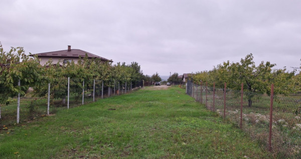 Teren intravilan 550mp