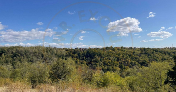 Teren Babana 5000mp intravilan